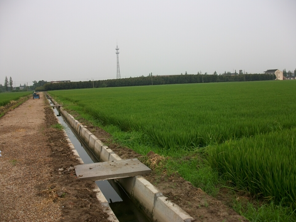（2014）陽春市春灣鎮新和村、新明村高標準基本農田建設項目